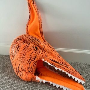Pottery Barn Dinosaur costume